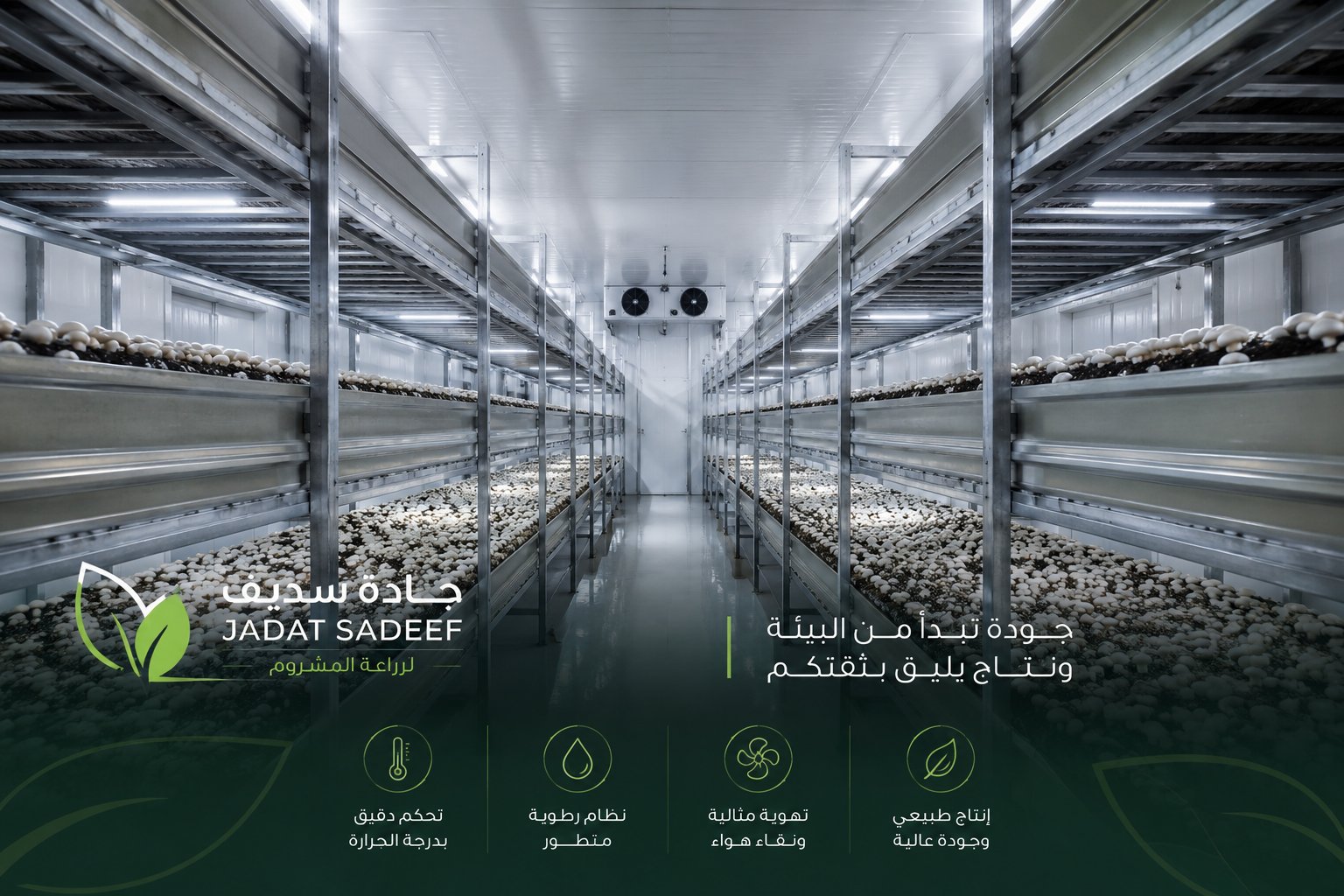 Jadat Sadeef mushroom grow room facility